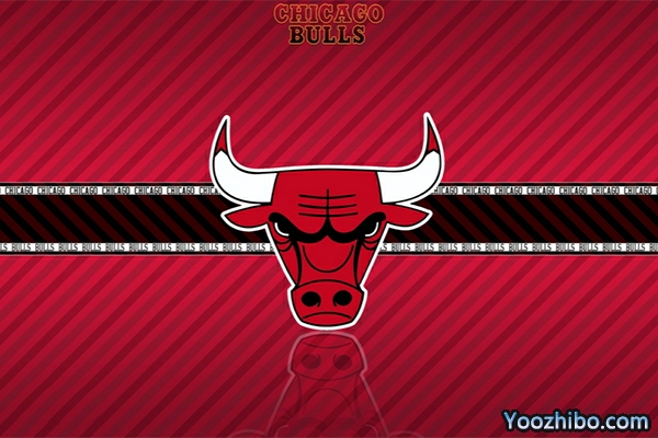 <a href=/mianfeilanqiu/bulls/ target=_blank class=infotextkey>公牛</a>队